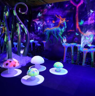 Kat─▒l─▒m-Emeklilik-DigiZoo-1-scaled