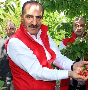 turkiyenin-kiraz-sektorunde-2024-yilina-ilk-adim-erken-hasat-ve-ihracat-hedefleri-72CUXFT8.jpg