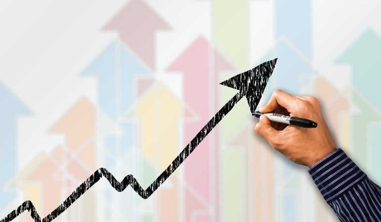 hippo-achieves-record-breaking-77-revenue-surge-in-2024-8KnvqYJp.jpg