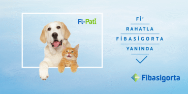 fi-pati-evcil-hayvan-sigortasi-PpNU7TLK.png
