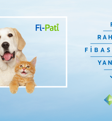 fi-pati-evcil-hayvan-sigortasi-PpNU7TLK.png